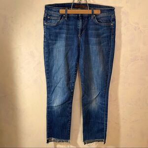 Joe’s Jeans the Skinnyy Waist 29 medium rinse